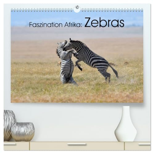 Faszination Afrika: Zebras (hochwertiger Premium Wandkalender 2026 DIN A2 quer), Kunstdruck in Hochglanz: Wie kein anders Tier vekörpern die Zebras die Tierwelt Afrikas (CALVENDO Tiere)