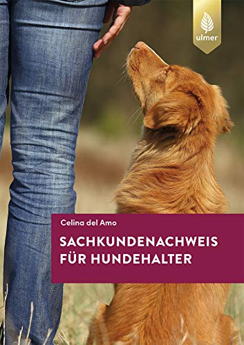 Sachkundenachweis für Hundehalter: So bestehen Sie den Hundeführerschein
