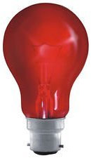 EVEREADY 40W B22 FIREGLOW GLS - PACK OF 10