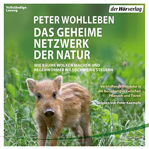 Das geheime Netzwerk der Natur: Wie Bäume Wolken machen und Regenwürmer Wildschweine kontrollieren