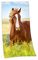 Herding 6124206516 Velourstuch Pferd, Baumwolle, Bunt, 150 x 75 cm