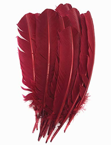 ERGEOB 20 stück Truthahnfedern basteln federn Bogen federn ERGEOB 20-30cm Weinrot
