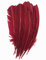 ERGEOB 20 stück Truthahnfedern basteln Federn Bogen Federn 20-30cm Weinrot