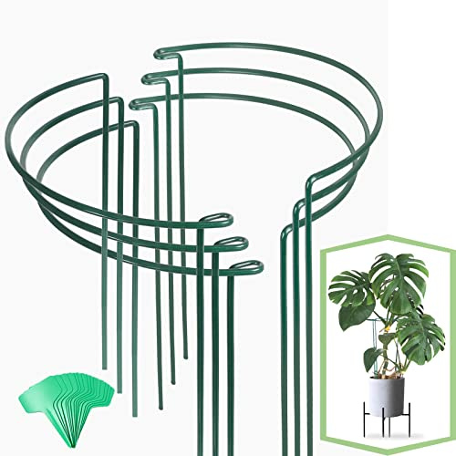 6 Pack 16 Inch Metal Plant Support Stakes for Outdoor Plants and Flowers