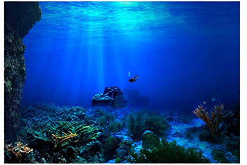 EBTOOLS Poster for Aquarium, Fish Tank Poster Backdrop PVC Adhesive Aquarium Background Sticker Seafloor Water Grass Pattern Wallpaper Decoration for Fish Tank 24.02 x 16.14 inch