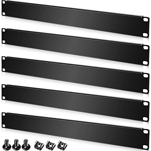 Lot de 10 panneaux vierges en métal pour rack de 48,3 cm (1 U)