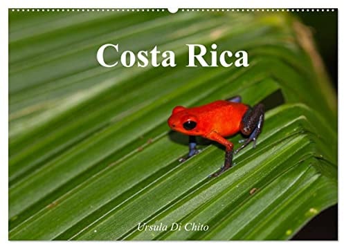 Costa Rica (Wandkalender 2026 DIN A2 quer), CALVENDO Monatskalender: Costa Rica - Land der Regenwälder und Vulkane (CALVENDO Orte)