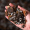 Bonsai Soil Mix - Enriched with Nutrients (2L)