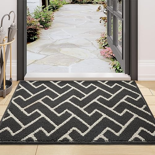Biscpro Schmutzfangmatte 80 x 100, Rutschfestigkeit Fußmatte,Maschine gewaschen Türmatte für Hund, Außen Innen Garten,Teppich,küchenteppich,Haustür