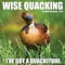 Wise Quacking 2025 Wall