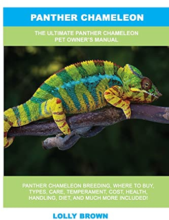 Panther Chameleon: The Ultimate Panther Chameleon Pet Owner's Manual