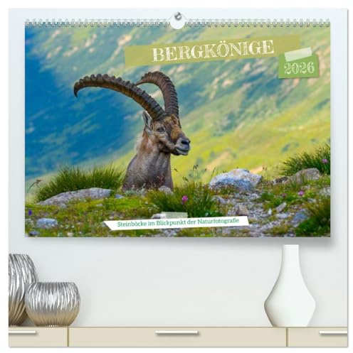 Bergkönige - Steinböcke im Blickpunkt der Naturfotografie (hochwertiger Premium Wandkalender 2026 DIN A2 quer), Kunstdruck in Hochglanz: Steinböcke ... die Gipfel ihrer Ziele (CALVENDO Tiere)