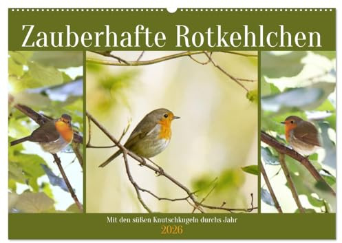 Zauberhafte Rotkehlchen (Wandkalender 2026 DIN A2 quer), CALVENDO Monatskalender: Mit den süßen Knutschkugeln durchs Jahr (CALVENDO Tiere)