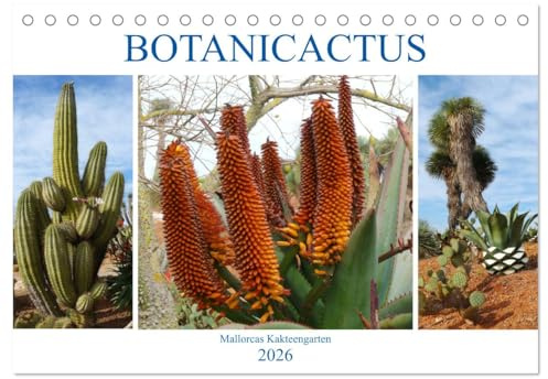 BOTANICACTUS Mallorcas Kakteengarten (Tischkalender 2026 DIN A5 quer), CALVENDO Monatskalender: Ein Januar-Spaziergang durch den mallorquinischen Kakteengarten (CALVENDO Natur)