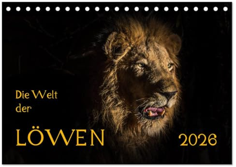 Die Welt der Löwen (Tischkalender 2026 DIN A5 quer), CALVENDO Monatskalender: Einblicke in das Familienleben der Löwen (CALVENDO Tiere)