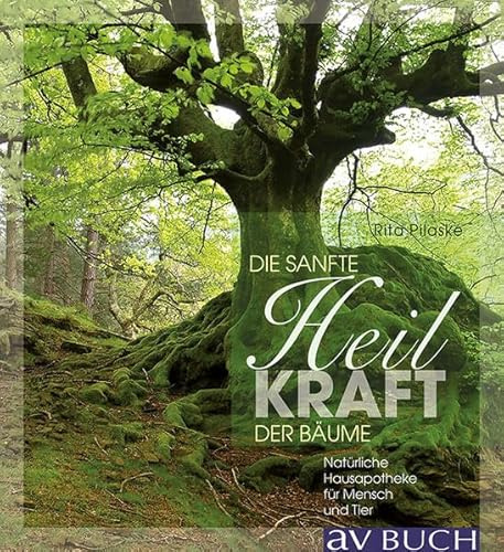 Sanft heilen mit der Kraft der Bäume: Natürliche Hausapotheke für Mensch und Tier (avBuch im Cadmos Verlag: im Cadmos Verlag)
