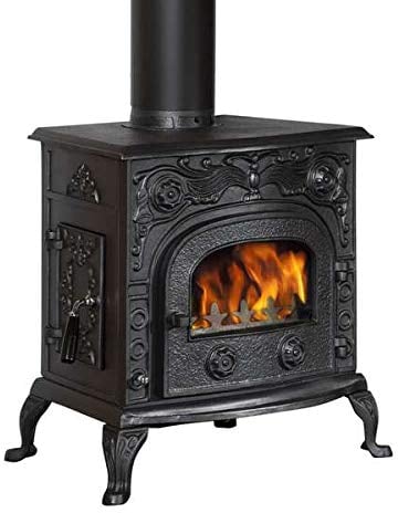 Kaminofen Globe-fire Eros I raumluftunabhängig Guss schwarz 6kW