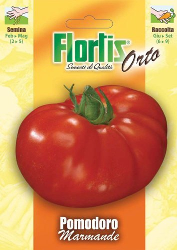 Flortis 4355277 Tomate Marmande (Tomatensamen)