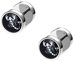Ohrringe für Herren, Ohrstecker Männer Edelstahl Silber Herren Skorpion Ohrstecker Stil G