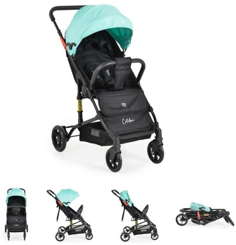 Moni Kinderwagen Buggy Colibri, faltbar, verstellbar, 5-Punkt-Gurt, ab 6 Monaten, Farbe:türkis