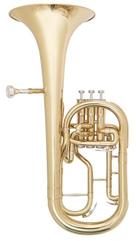 Odyssey OTH1000 Debut 'Eb' Tenor Horn Outfit with Deluxe Case & Accessory Kit - Instrument with Polished Brass Body, Stainless Steel Pistons - Ideal for Brass and Military Bands