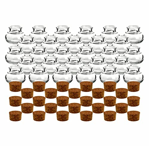 gouveo 28er Set Gewürzgläser 40 ml mit Korken - Mini Korkengläser mit Korkverschluss - Kleine Vorratsgläser für Kräuter, Gewürze - Kleine Glasdose