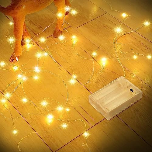Romwish Guirnalda de luces LED, 10 m, alambre de cobre, 100 LED, para dormitorio, festival, boda, Navidad, interior, decoraci贸n
