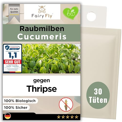 Fairyfly® Raubmilben gegen Thripse – 30 Tüten Nützlinge für Zimmerpflanzen & Gewächshaus – biologische Schädlingsbekämpfung (Cucumeris)