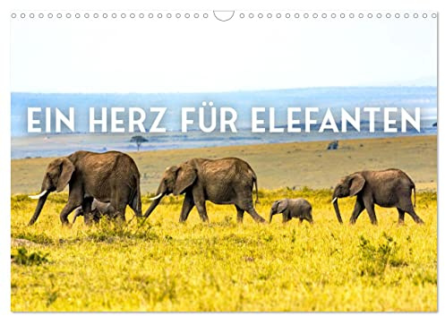 Ein Herz für Elefanten (Wandkalender 2026 DIN A3 quer), CALVENDO Monatskalender: Die sanften Riesen der Welt. (CALVENDO Orte)