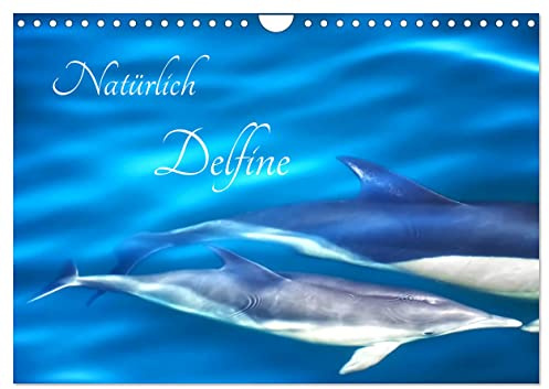 Natürlich Delfine (Wandkalender 2026 DIN A4 quer), CALVENDO Monatskalender: Glückliche Delfine leben in ihrem natürlichen Lebensraum (CALVENDO Tiere)