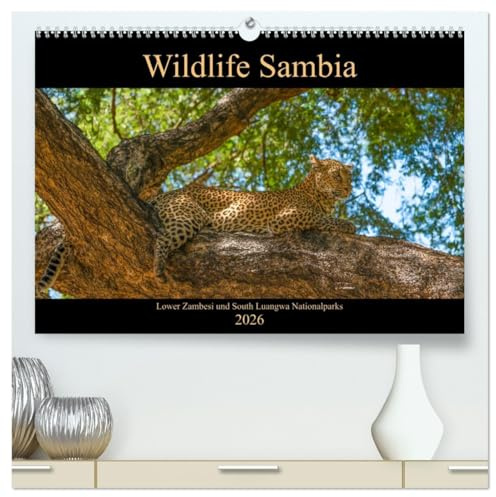 Wildlife Sambia (hochwertiger Premium Wandkalender 2026 DIN A2 quer), Kunstdruck in Hochglanz: Sambia mit seinen wunderschönen und tierreichen ... Natur- und Tierliebhaber. (CALVENDO Tiere)
