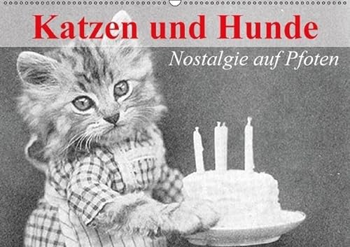 Katzen und Hunde - Nostalgie auf Pfoten (Wandkalender immerwährend DIN A2 quer): Historische Tierbilder aus dem Jahr 1914 (Geburtstagskalender, 14 ... [Kalender] [Oct 08, 2014] Stanzer, Elisabeth