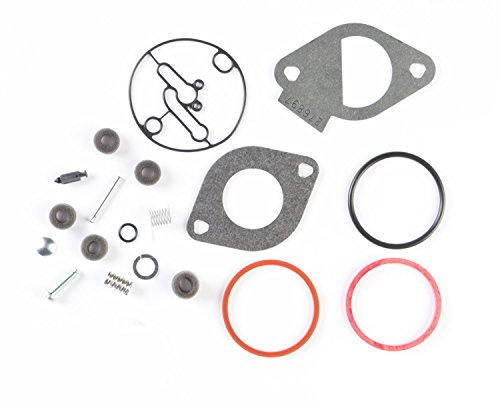 Briggs and Stratton 796184 Dichtungssatz für Nikki Vergaser