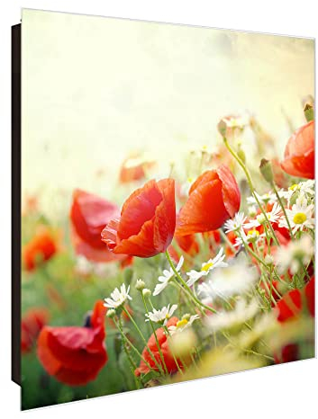 banjado® Großer Schlüsselkasten Glas/Schlüsselbox 30cm x 30cm mit 50 Haken - Motiv Kamille Und Mohn/Schlüsselkasten modern für Schlüsselaufbewahrung mit beschreibbarer, magnetischer Glastür