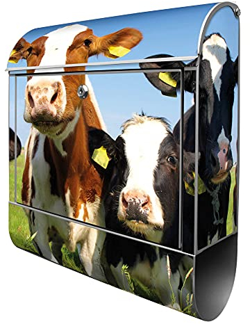 banjado® Design Briefkasten mit Kühe 38,5x46,5x13cm & 2 Schlüssel - Briefkasten Stahl Silber mit Zeitungsfach pulverbeschichtet - Postkasten A4 Einwurf inkl. Montagematerial