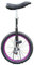 HWF Einrad Kinder Kinder/Erwachsene/Jugendliche Einrad Im Freien, 14/16/18/20 Inch Rad Einrad Balance Radfahren mit Alufelge, Starter Anfänger Uni-Cycle, Lila (Color : Purple, Size : 16)
