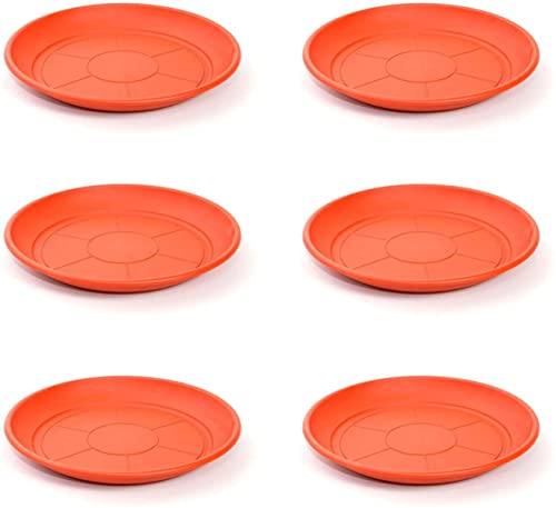 (Pack 6) Plato para Maceta Plástico PVC/Platillo Maceta / 20cm, 22cm, 24cm, 26cm, 28cm, 30cm / Bandeja de Plástico para Maceta (Marrón)