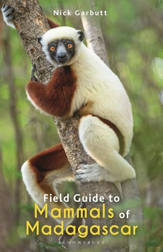Field Guide to Mammals of Madagascar (Bloomsbury Naturalist)