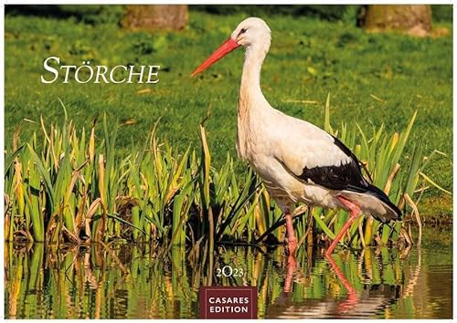 Störche 2023 S 24x35cm