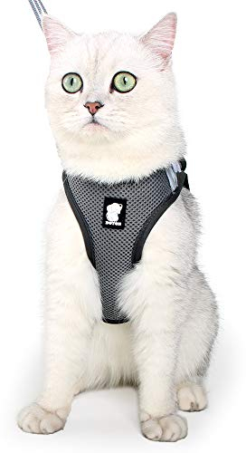 Katzengeschirr und Leine Ultraleicht für Fluchtschutz Verstellbarer weicher Netzschritt in gepolsterter Polsterung Laufweste Jacke für Kätzchen Haustiere Welpe