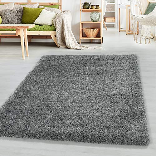 SIMPEX Shaggy Hochflor Teppich Hellgrau 120x170 cm Extra Weich & Waschbar Jute Rückseite für Fußbodenheizung, Einfarbig & Flauschig für Wohnzimmer & Schlafzimmer