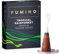 Fumino Räucherkegel mit frischem Duft Tropischer Regenwald – 1 Box à 20 Kegel Masala Agarbatti Räucherkerzen Klein - Duft für Entspannung, Meditation, Linderung bei Stress und Angstzuständen