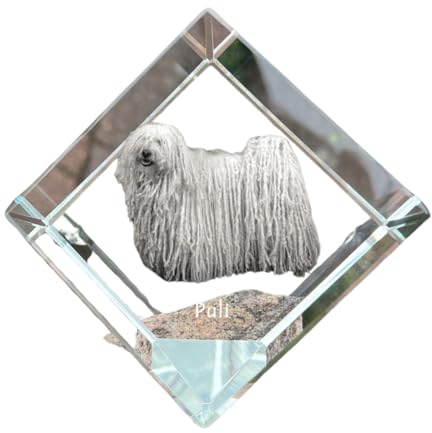 Art-Dog Kristallwürfel mit Foto, Foto von Hund, Katze oder Pferd in Kristall, kubischer Briefbeschwerer, vorpersonalisierte Geschenkidee