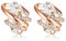 Leafael Wishstone Crystal Stud Earrings for Women, Birthstone Crystal Earrings with Healing Stones, Silver-Tone or Rose Gold Earrings, Allergy-Free Jewellery for Women with Gift Box