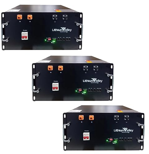 Schramm Lithium Valley® Stromspeicherbatterie LTO (2, 6 oder 12 kWh) Speicher Akku Batterie Solar Lithium-Titanat-Oxid Speicherbatterie 2kWh 50,6V/40Ah Einschub / 20.000 Zyklen, Größe:6 kWh