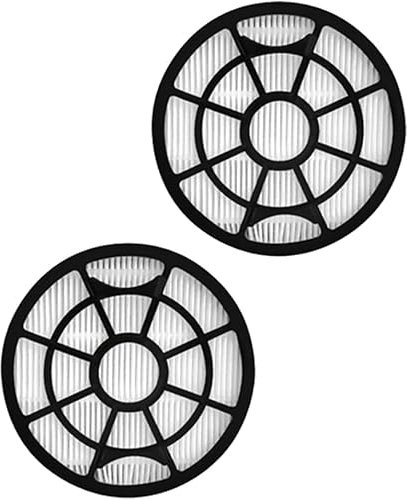 Daaxing Lot de 2 filtres d'échappement compatibles avec aspirateur Rowenta Swift Power Cyclonic RO2932EA RO2933EA RO2957EA