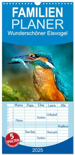 Familienplaner 2025 - Wunderschöner Eisvogel mit 5 Spalten (Wandkalender, 21 cm x 45 cm), CALVENDO