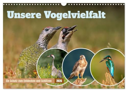 Unsere Vogelvielfalt: Ein Schatz zum Entdecken und Schützen (Wandkalender 2026 DIN A3 quer), CALVENDO Monatskalender: Der Wildlife & Natur Fotograf ... von Wiese, Wald und Meer. (CALVENDO Tiere)