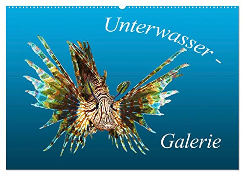 Unterwasser-Galerie (Wandkalender 2026 DIN A2 quer), CALVENDO Monatskalender: Sehr nah - Sehr intensiv - Leben im Meer (CALVENDO Tiere)