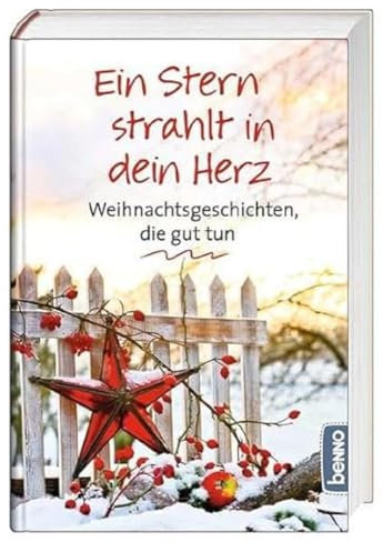 Ein Stern strahlt in dein Herz: Weihnachtsgeschichten, die gut tun